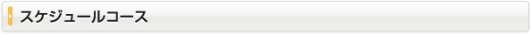 スケジュールコース